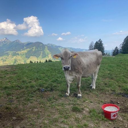 Wies Stein  Zewnętrze zdjęcie